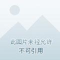炮灰女配不好当