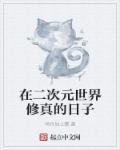 在二次元的世界里寻找真实 在二次元的世界里寻找真实
