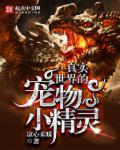 宠物小精灵的世界叫什么 宠物小精灵的世界叫什么