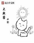 权大欺法 权大欺法
