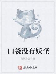 口袋妖怪无经验版攻略