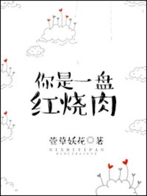 一碗红烧肉的记忆
