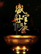 盛世宝鉴免费全文阅读