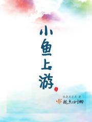 小鱼都在上面还好钓鱼吗