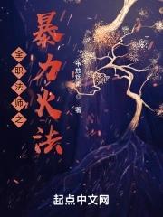 全职法师之暴力火法 全职法师之暴力火法