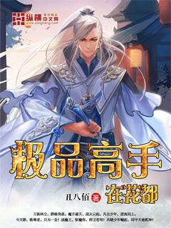 极品高手在花都 极品高手在花都