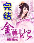 金牌王妃 金牌王妃