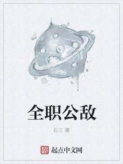 全职公敌 全职公敌